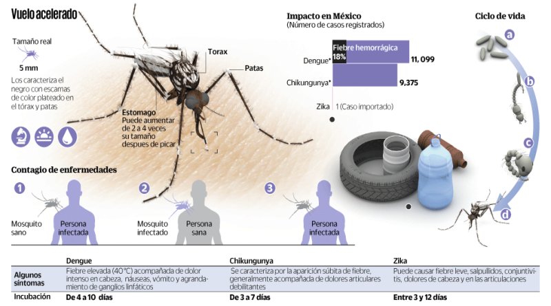 Las enfermedades transmitidas por mosquitos amenazan cada vez más al mundo