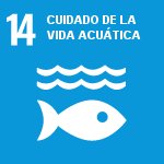 Deportes en la naturaleza respetando el medio ambiente -  Objetivo 14  Cuidado de la Vida Acuática