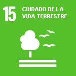 Deportes en la naturaleza respetando el medio ambiente -  Objetivo 15  Cuidado de la Vida Terrestre