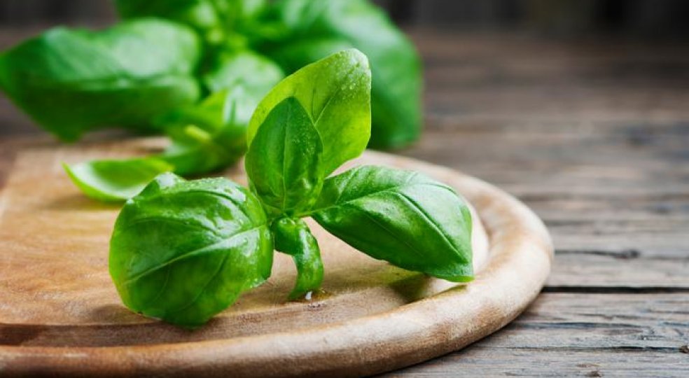 Nunca guardes estos alimentos en la heladera