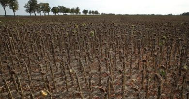 New Age Noticias - Preparémonos para el final del juego climático