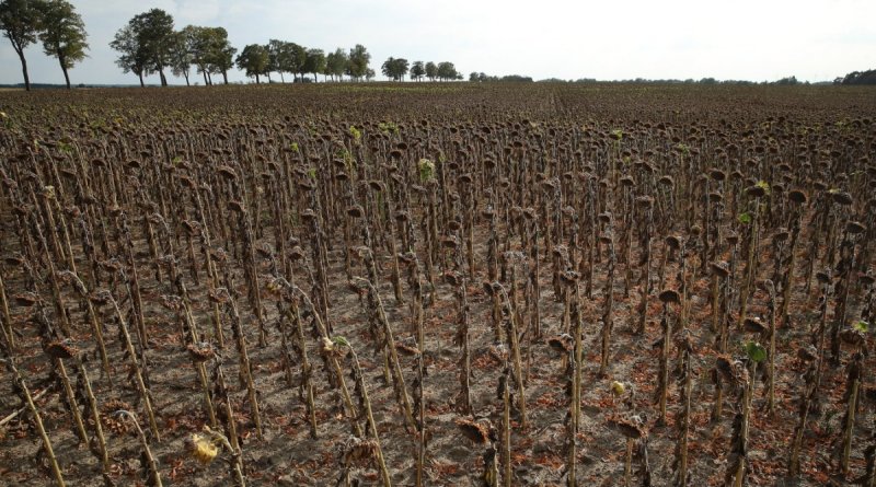 New Age Noticias - Preparémonos para el final del juego climático