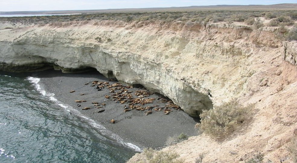 Los 10 lugares de Argentina, que debes visitar, Puerto Madryn