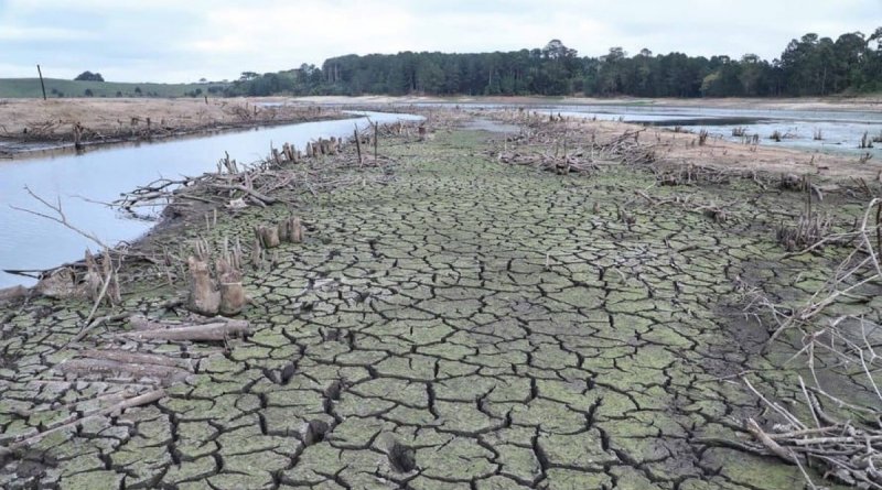 Carrera de la naturaleza hacia la extinción en masa